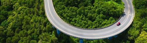 Car driving in forrest